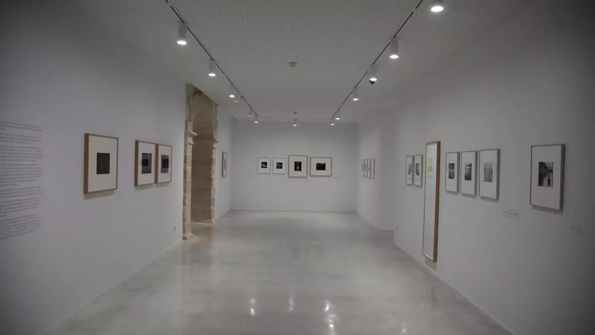 El Centre Toni Catany abre sus puertas con el respaldo de las instituciones y del mundo de la cultura