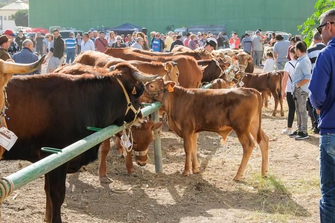 FIESTAS DE JINÁMAR