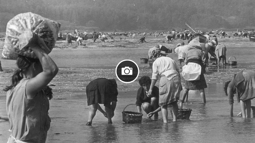 Mariscadoras, esas mujeres &#039;bravas&#039; que se imponen al mar