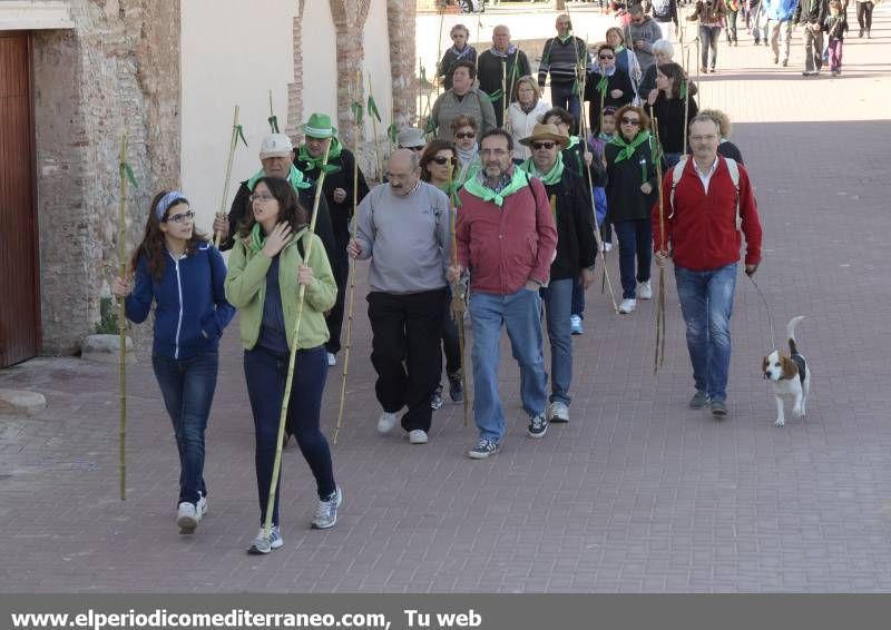 GALERÍA DE FOTOS - Romería Magdalena 2014 (2)