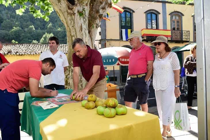 Fiesta de la manzana de Valleseco