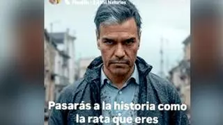 Una alcaldesa del PP llama "rata" a Pedro Sánchez con un meme y piden su preprobación