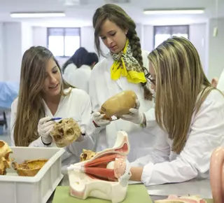Los profesores de Medicina de la UMH rechazan que los alumnos de la UA compartan prácticas