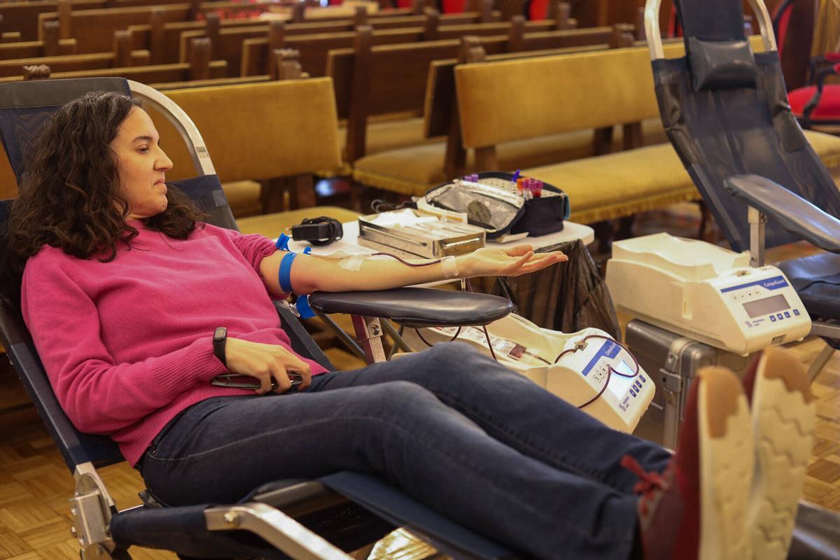 Zamora. campaña de donación de sangre En la diputación de Zamora