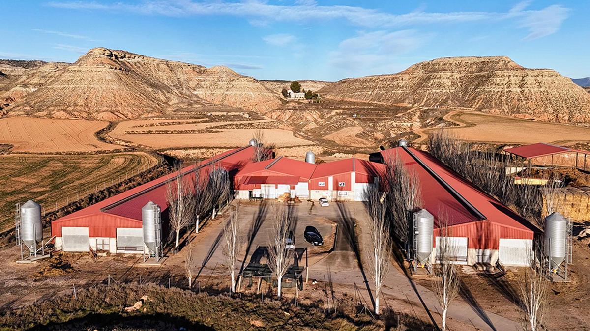 Una explotación ganadera de Aragón en la que la empresa Y Tú ha instalado un sistema de autoconsumo fotovoltaico.