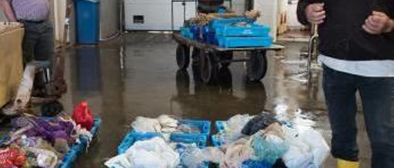 Cada barco «pesca»  al día una media de 25 kilos de basura en Altea