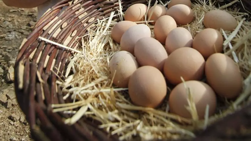 No es como imaginabas: haz esto con los huevos sucios si no quieres correr riesgos con tu salud