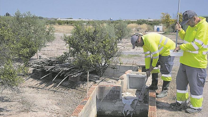 Las últimas lluvias y el calor avivan la eclosión de mosquitos en la costa de Castellón