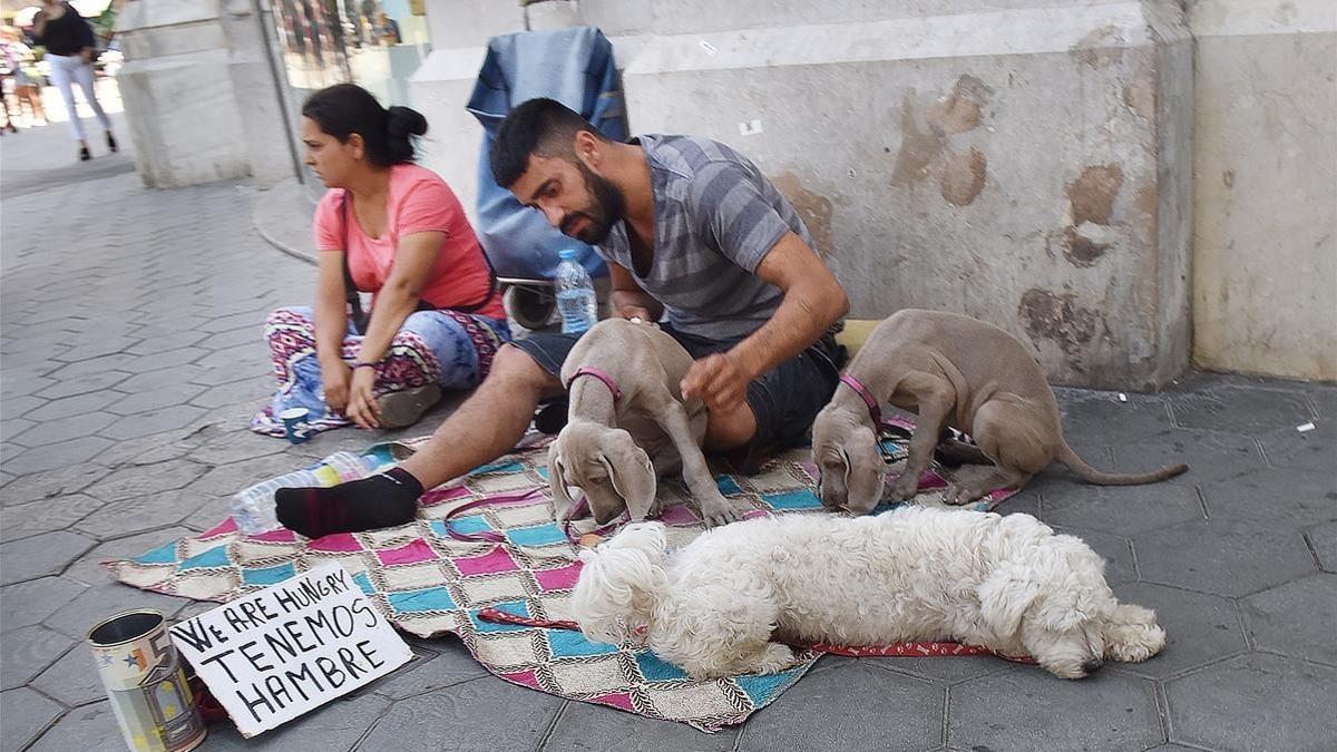 Dos de los individuos que utilizan a perros como reclamo lucrativo, con dos cachorros braco de weimar y un bichón maltés en paseo de Gracia con Gran Via de les Corts Catalanes.