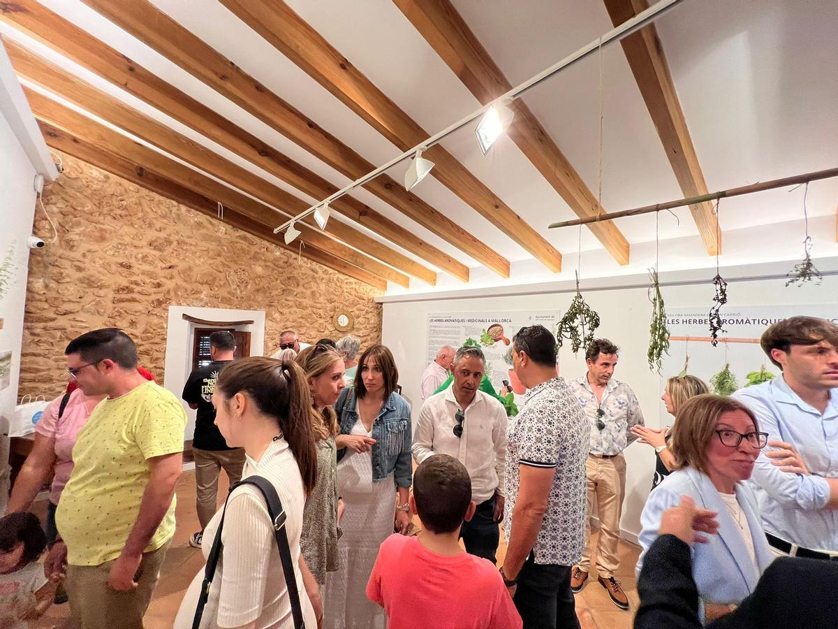 FOTOS | Las ferias de este domingo en distintos pueblos de Mallorca, en imágenes