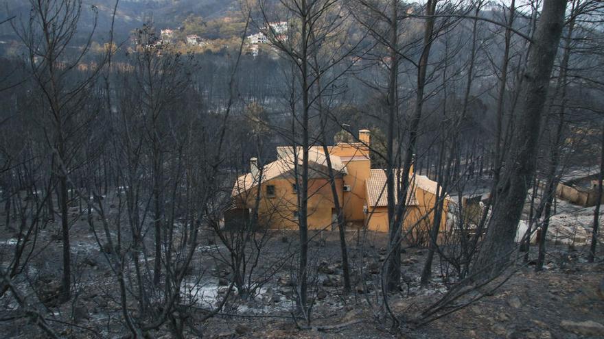 Aspecto en que quedó la zona de Marxuquera tras el incendio del pasado mes de agosto.