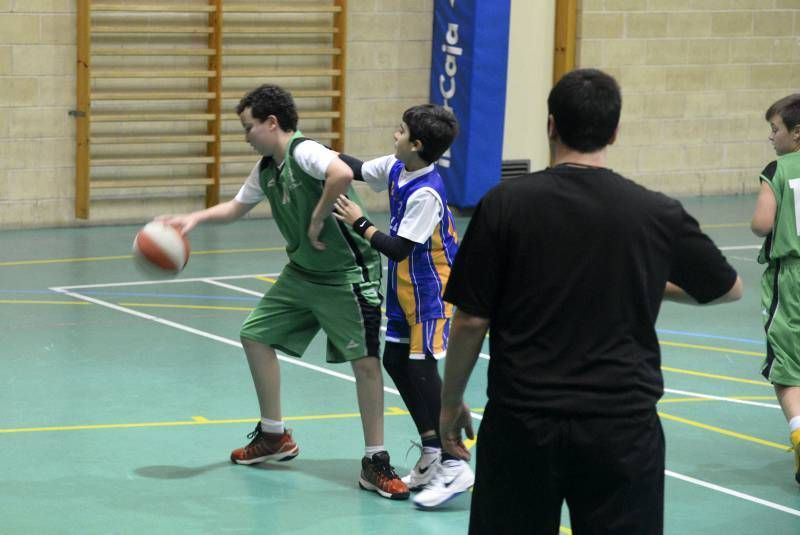 BALONCESTO: El Olivar - La Salle (Alevín B)