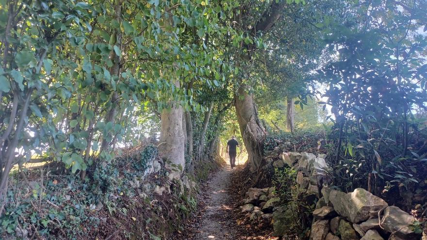 La ruta de Los Covarones, las mil y una estampas de cuento de la senda más visitada de Llanera