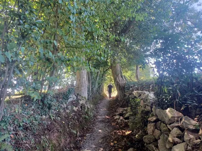 La ruta de Los Covarones, las mil y una estampas de cuento de la senda más visitada de Llanera