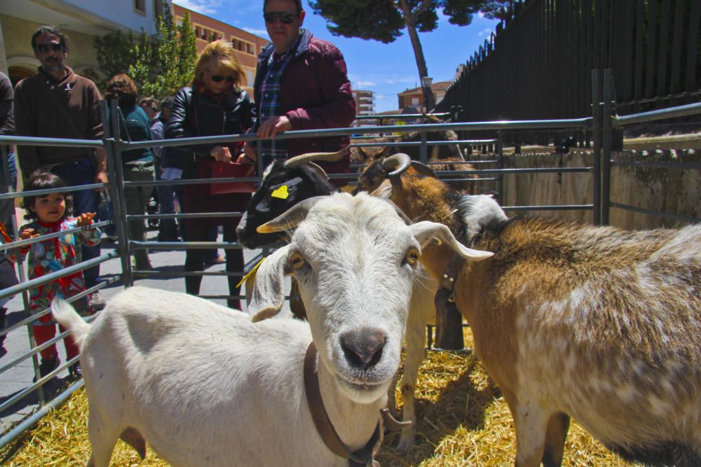 Numerosas personas visitan la Feria de San Isidro para conocer la oferta de los 300 expositores y disfrutar de los actos culturales