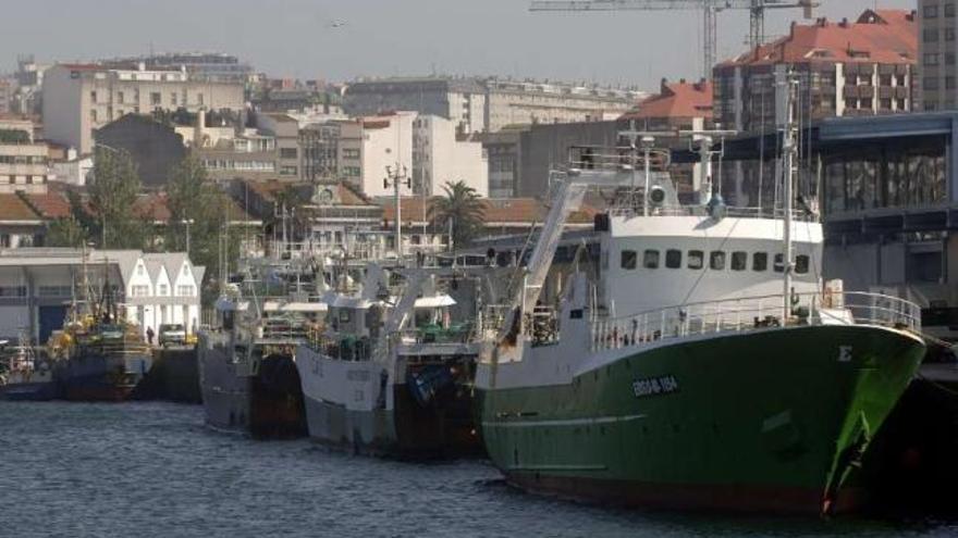 Flota de altura amarrada en el puerto de A Coruña. / juan varela