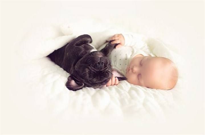 Un bebé y un bulldog, nacidos el mismo día, como hermanos