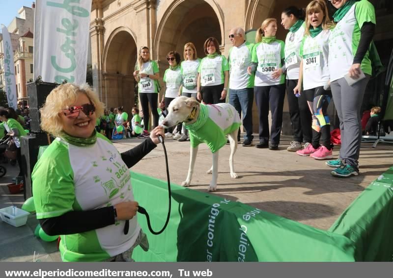 Búscate en la IV Marcha Solidaria contra el Cáncer