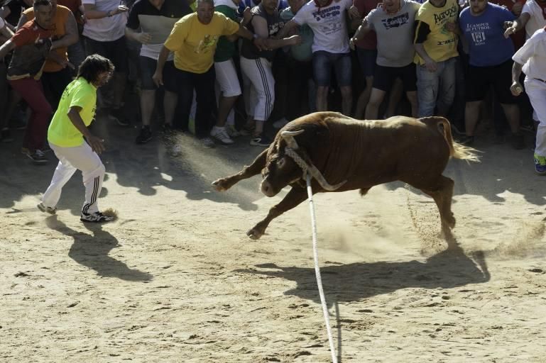 La carrera del Toro Enmaromado 2017 Razonador