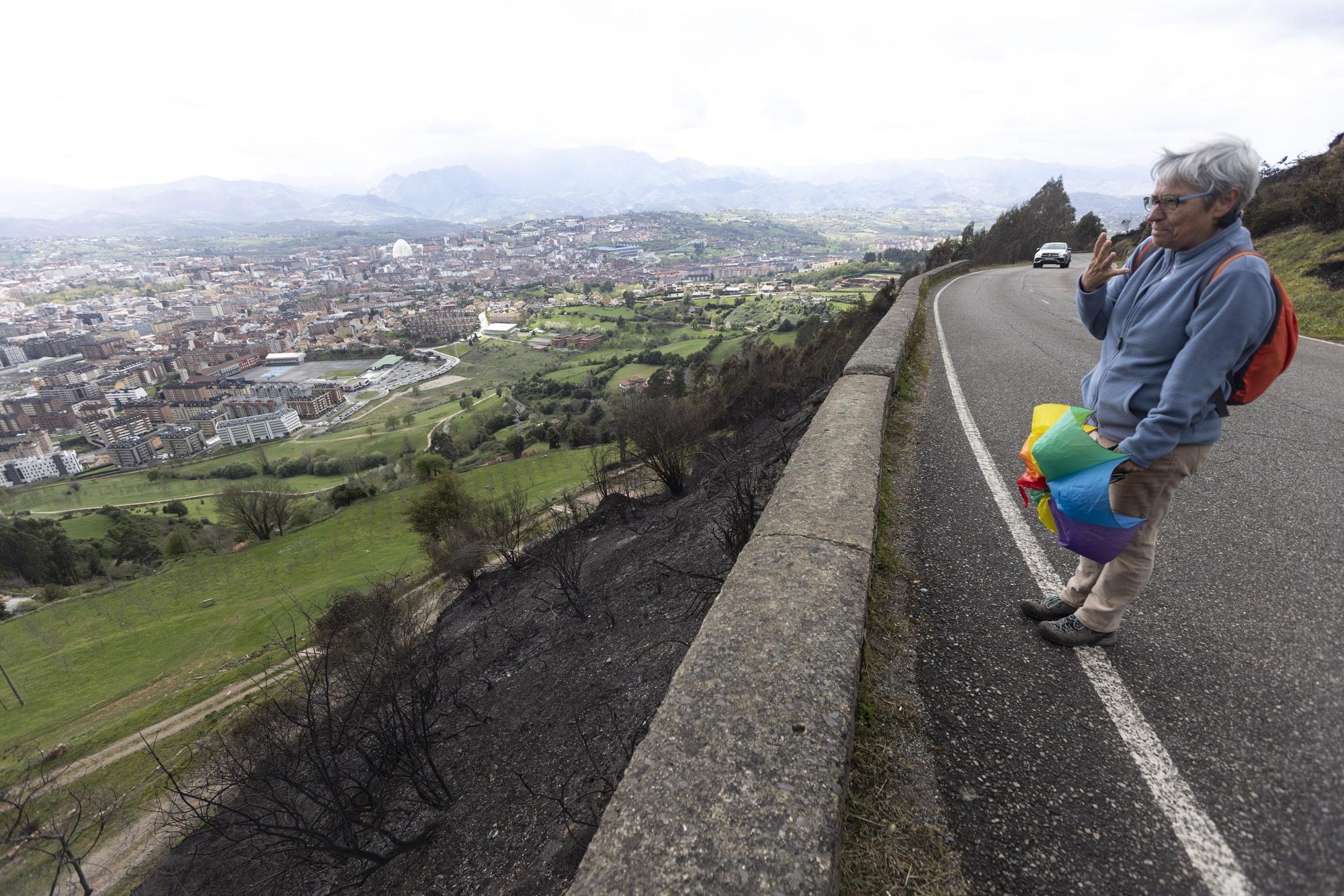 El Naranco, en Oviedo, devastado por las llamas