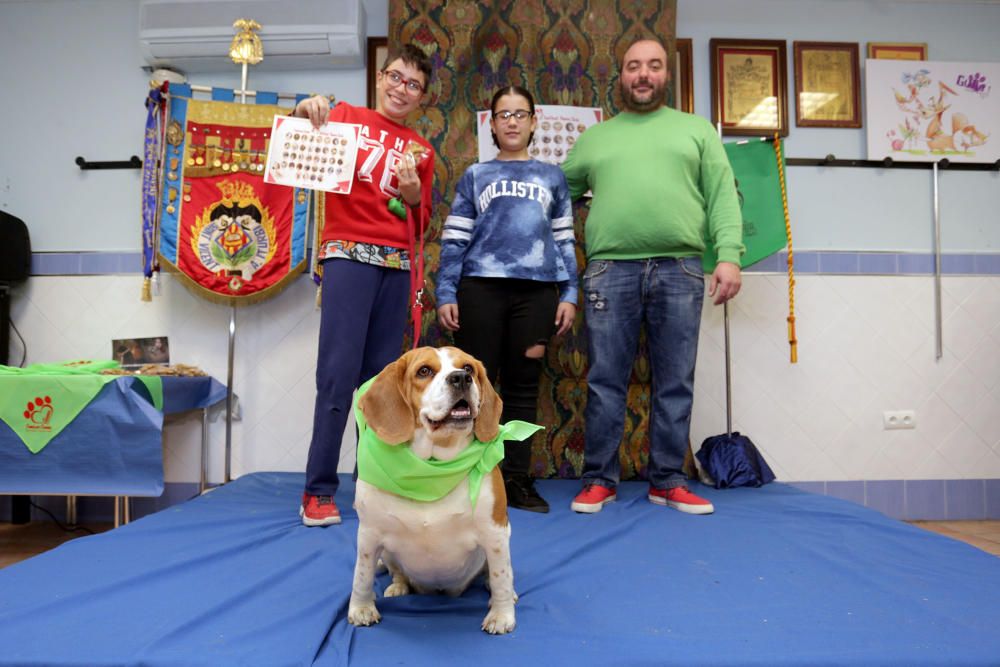 La primera falla canina de València