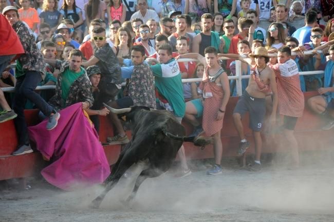 Les vaquetes de la festa major de Santpedor