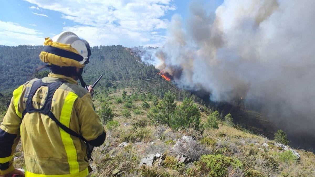 Un agente ambiental en la extinción de un incendio en Galicia