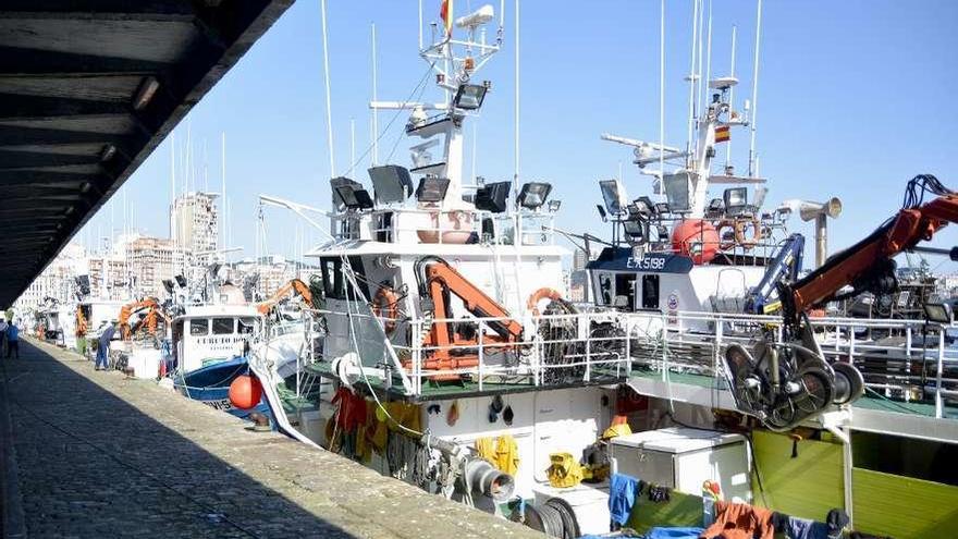 Flota de cerco amarrada en el puerto de A Coruña.