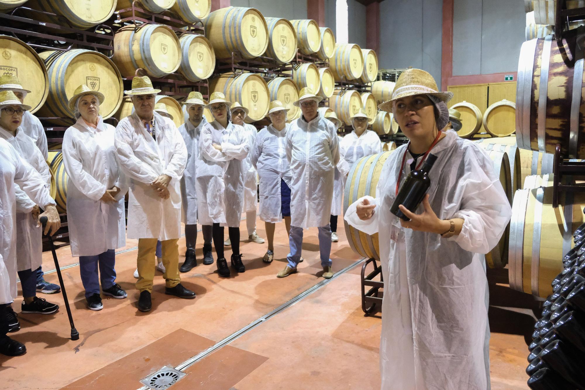 Así ha sido la jornada de puertas abiertas de Bodegas Bocopa