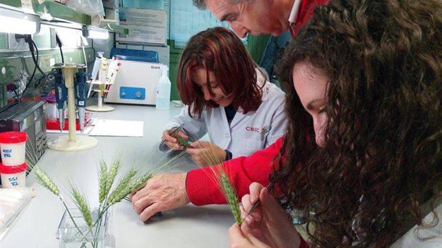 Los centros del CSIC en Córdoba participan en la quinta edición del Piiisa