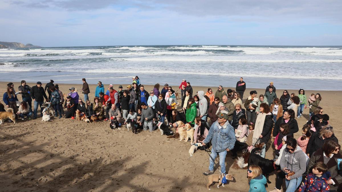 En imágenes: Multitudinaria concentración canina en Salinas