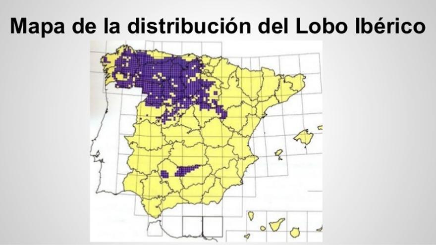 Distribución del lobo ibérico