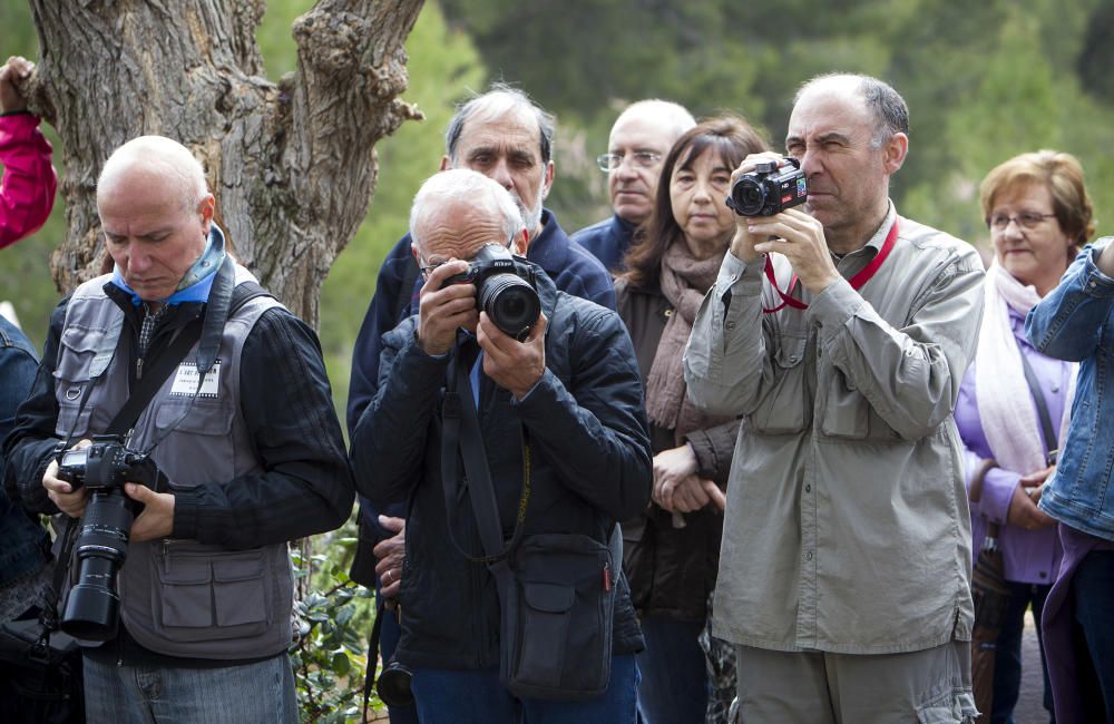 La provincia de Castelló celebra Sant Vicent