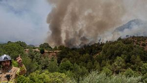 L’activitat agrícola a Catalunya ha causat 57 incendis des del gener