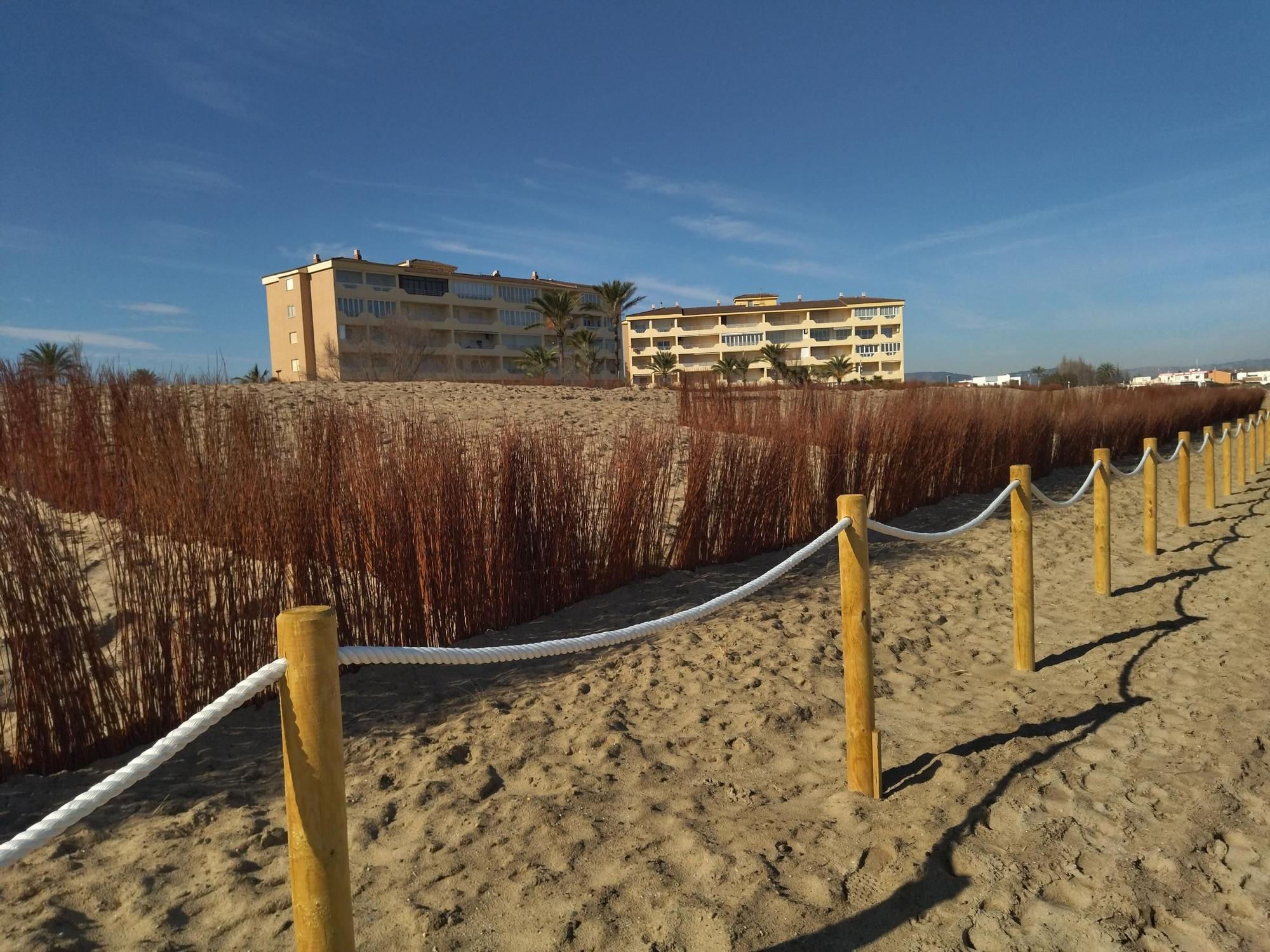 Las imágenes de la espectacular regeneración de la playa de les Deveses de Dénia