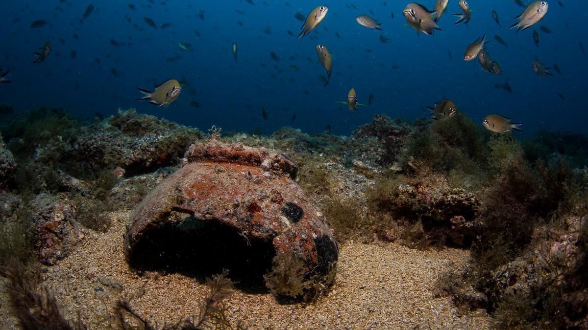 Uno de los fondos marinos del proyecto Margullar.