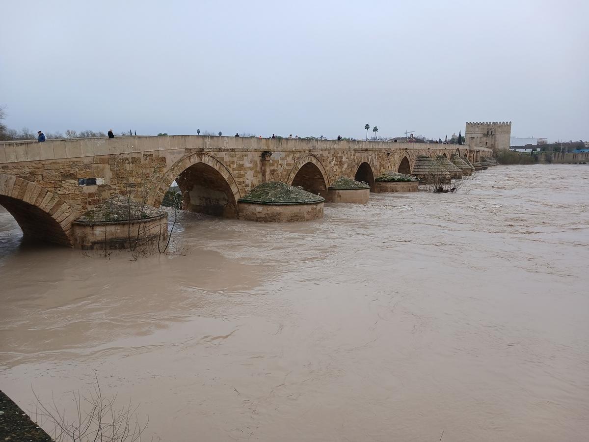 El río Guadalquivir, a su paso por Córdoba, transportando gran cantidad de tierra fértil este febrero