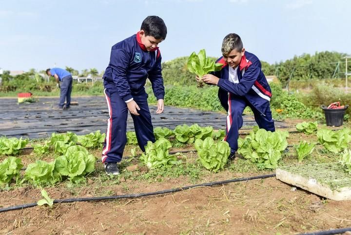 Visita escolar a la Granja Agricola del Cabildo