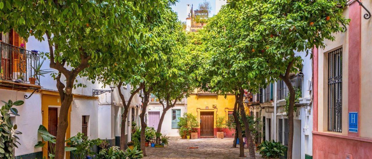 La ciudad con un bar-capilla repleto de vírgenes, palios y su propia 'sangre de Cristo'