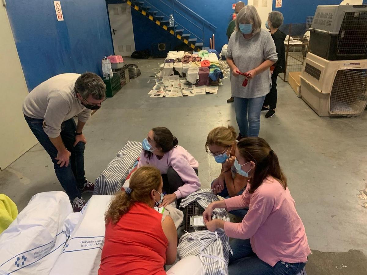 Imagen de las intervenciones en la campaña de esterilización de gatos en Las Palmas de Gran Canaria.