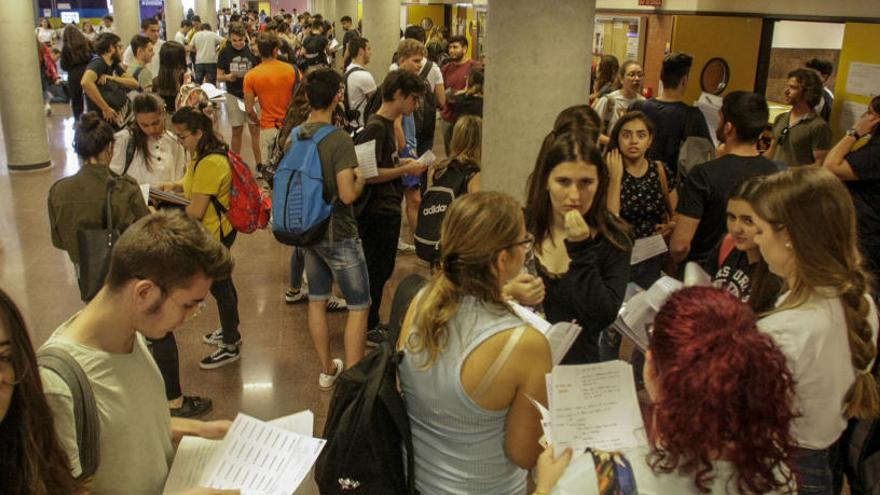 Estudiantes en los pasillos de la UMH durante la selectividad