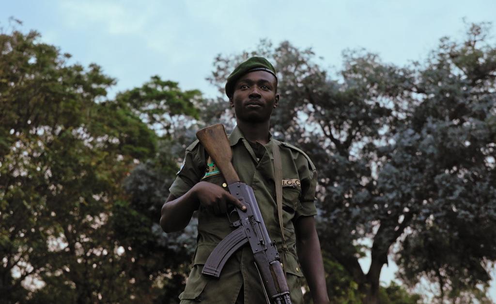 Mama documental chimpancés