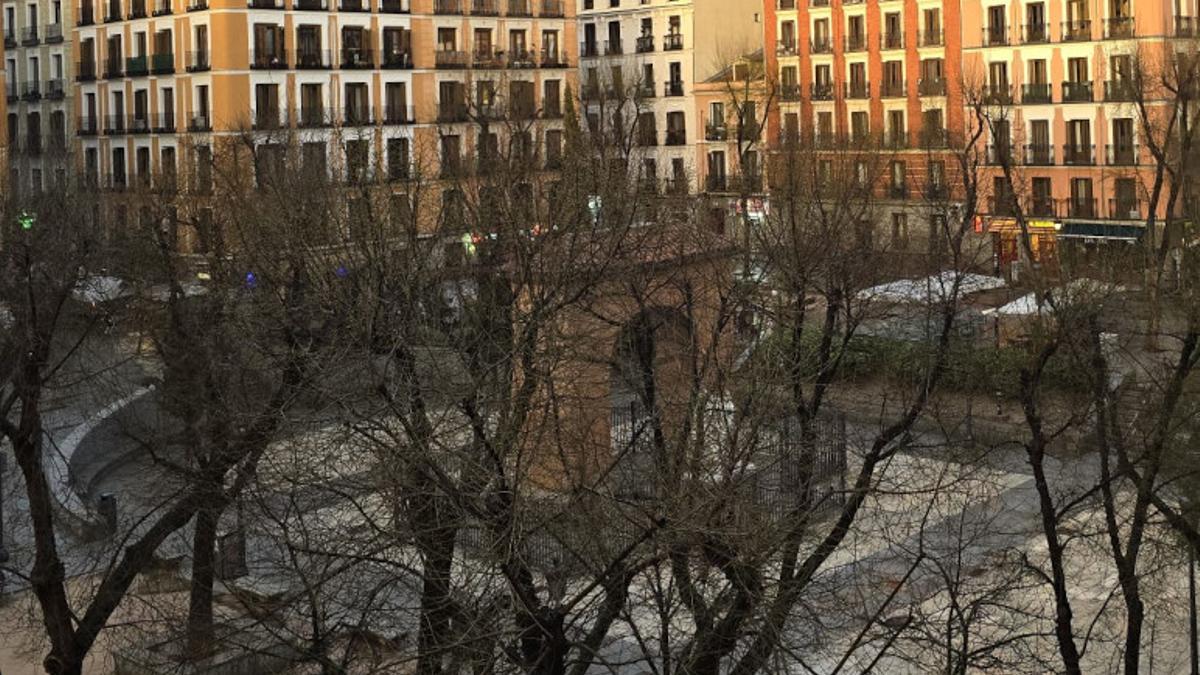 Vista del arbolado que rodea la plaza del Dos de Mayo, en Malasaña.