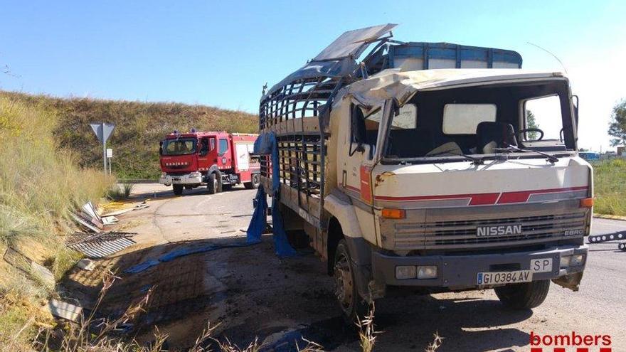 El camió accidentat, que duia un carregament de porcs.