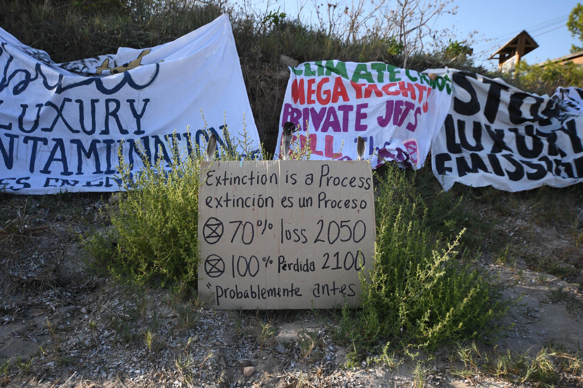 Galería de imágenes de la manifestación en la playa de ses Salines
