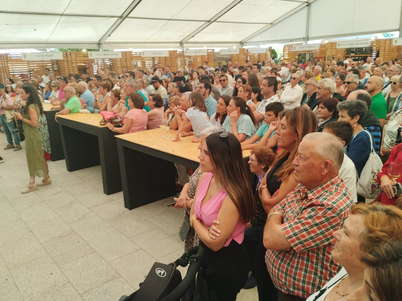 Asistentes a los actos de la Festa do Viño de Meaño.