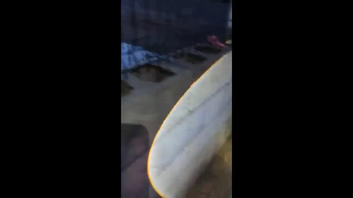 Noche de angustia en el refugio de animales de Carcaixent por la inundación