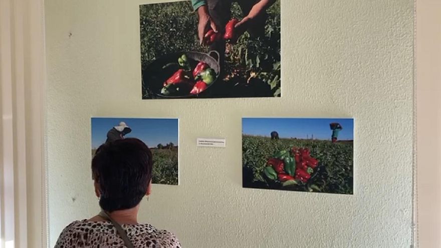 Testimonios, territorio y tiempo: así es la exposición del fotógrafo José Luis Fernández en Villarrín de Campos