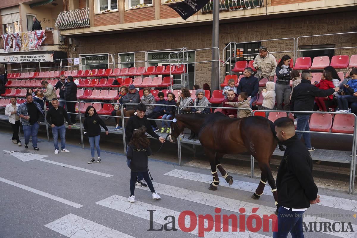 Concurso de caballo a pelo: pasacalles hasta el Hoyo en Caravaca