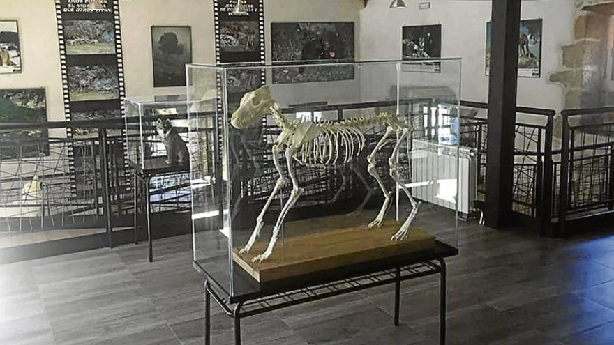 El Centro de Visitantes El Lobo, el primer espacio cultural dedicado a este animal